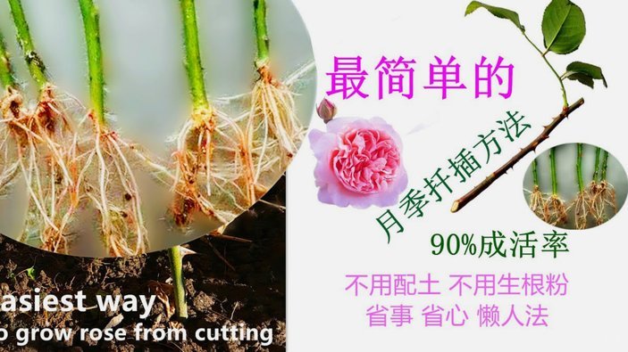 携程定制化营销策略揭秘