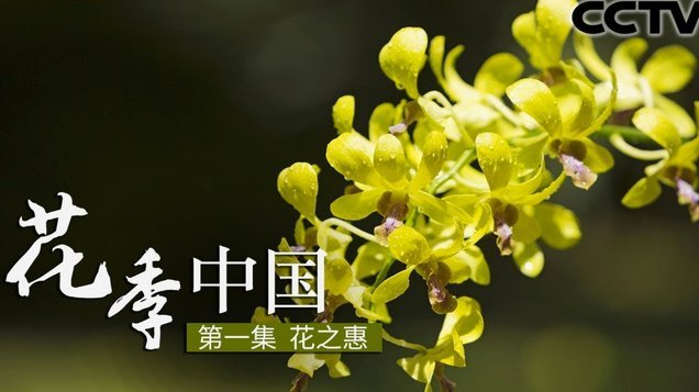 花呗套现给别人，后果严重