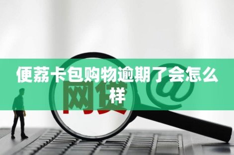 便荔卡包：一触即付的智能购物助手