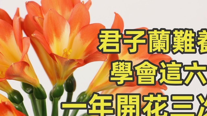 花呗怎么提现？4 种额度转化方案与风险提示