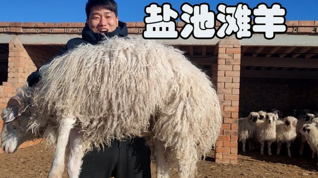 羊小咩可以取消订单吗