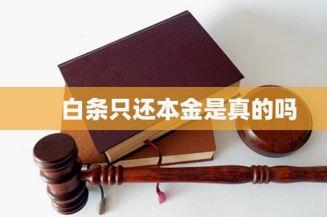 白条平台是什么