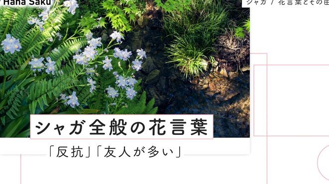 套现花呗合法吗安全吗