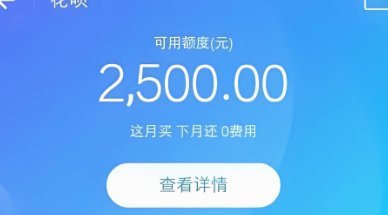 花呗服务攻略：高效解决问题指南