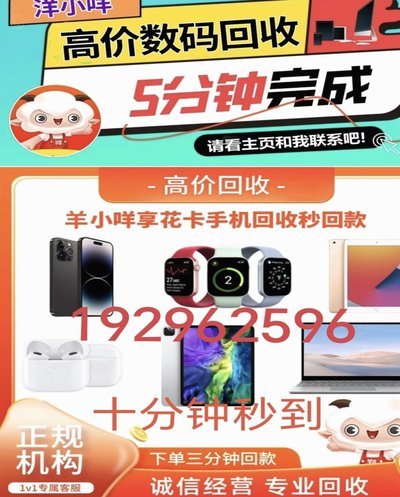 羊小咩贷款利弊解析
