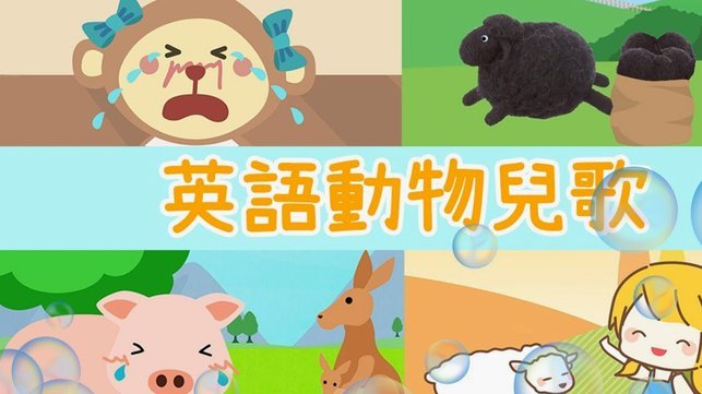 羊小咩贷款公司在哪里