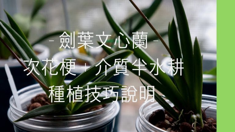 携程“拿去花”：玩转省钱旅行