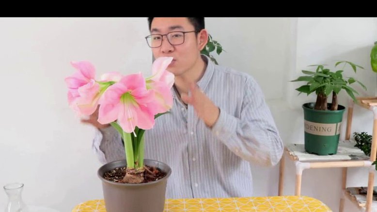 携程拿去花怎么使用