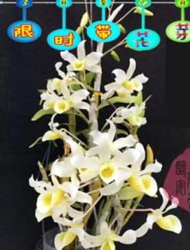 携程拿去花提现到微信全攻略