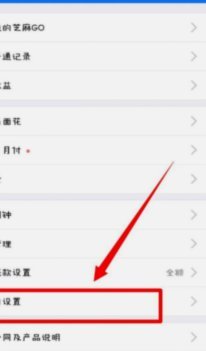 花呗为何突然消失？原因解析