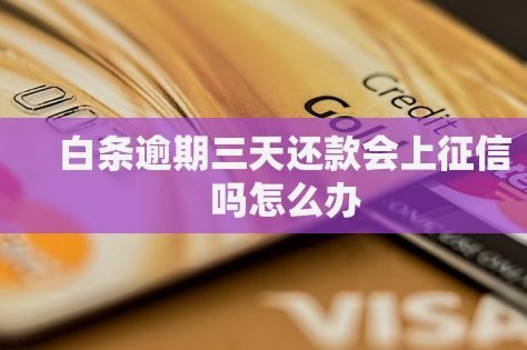 白条逾期如何协商延期
