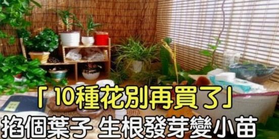 拿去花套现回收商家 取消了