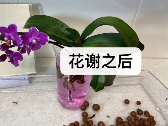 携程拿去花如何套现