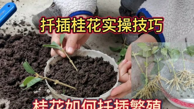 携程拿去花如何套现