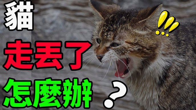 避开误区：深度解读天猫额度如何使用与变现？