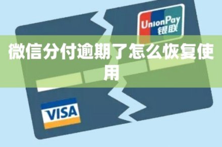 分付怎么能用