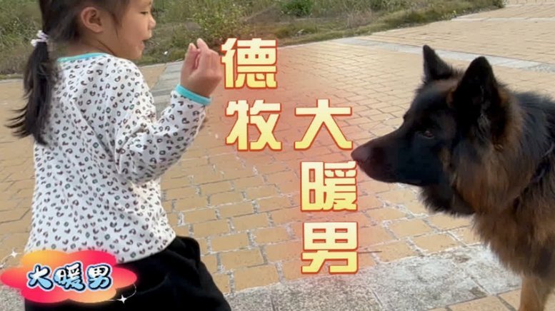 羊小咩取消订单还要还款