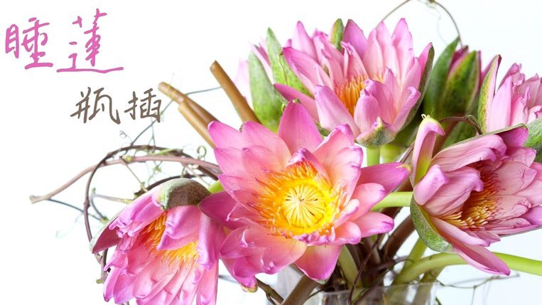 花呗可以提现到余额宝吗