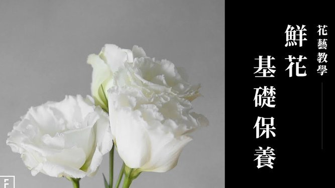 花呗可以提现到余额宝吗