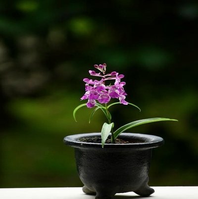 携程拿去花解析：低价清库存背后的风险与平衡策略