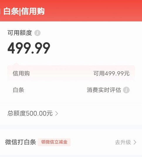 白条：什么是消费金融新选择？