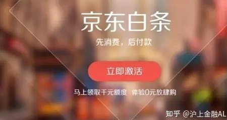 白条是什么借款