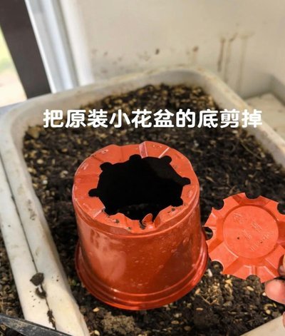 陷入消耗陷阱的你，如何自救？