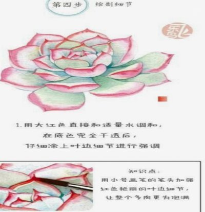 拿去花提现操作指南