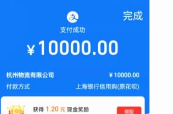 花呗套现：风险与心理洞察