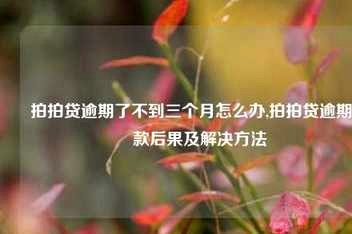 拍拍贷怎么借款成功