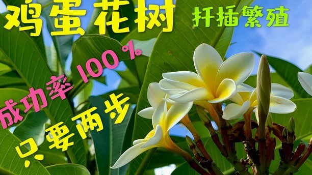 携程拿去花如何快速提额
