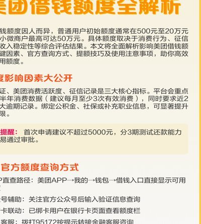 美团可用额度怎么用啊