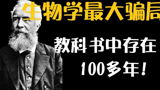 得物套现骗局探析