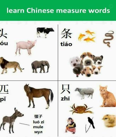 白条基础额度可以直接用吗