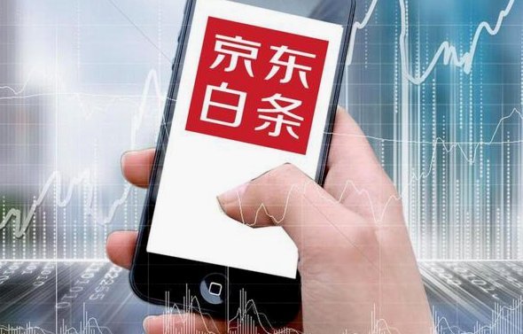 京东白条支持哪些软件使用指南