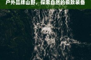 羊小咩便荔卡包套现风险大吗